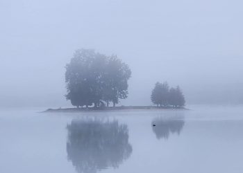 2026-Calendar-11