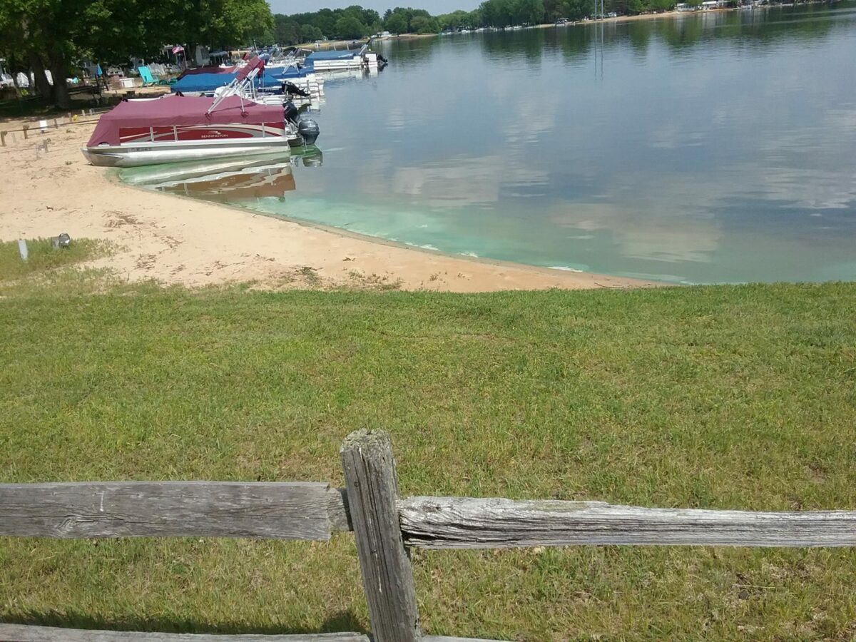 Blue Green Algae 02